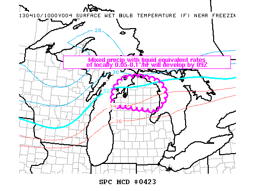 Mesoscale Discussion 423