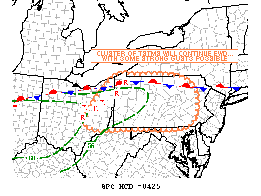 Mesoscale Discussion 425