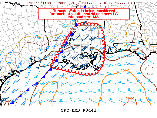 Mesoscale Discussion 441