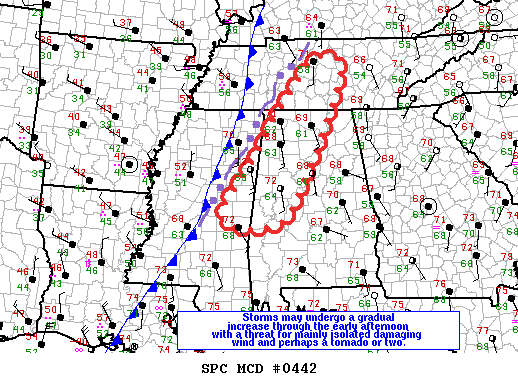 Mesoscale Discussion 442