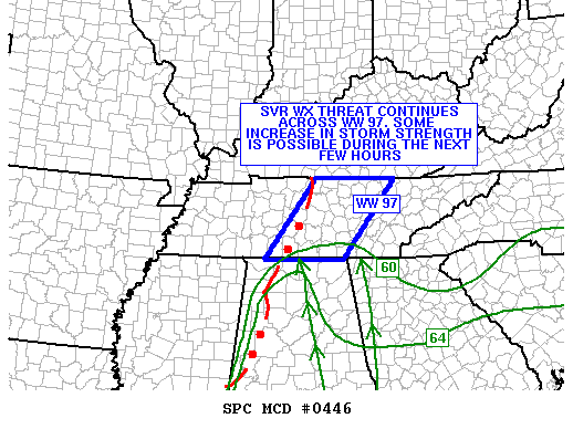 Mesoscale Discussion 446