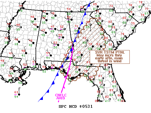 Mesoscale Discussion 531