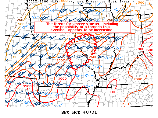 Mesoscale Discussion 731