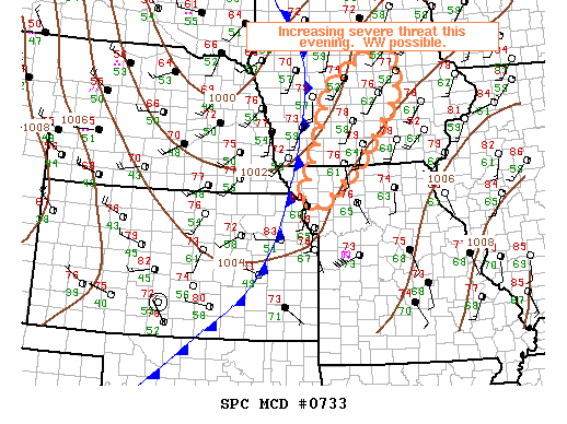 Mesoscale Discussion 733