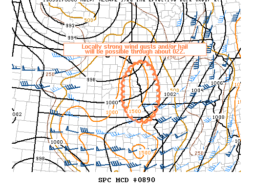 Mesoscale Discussion 890