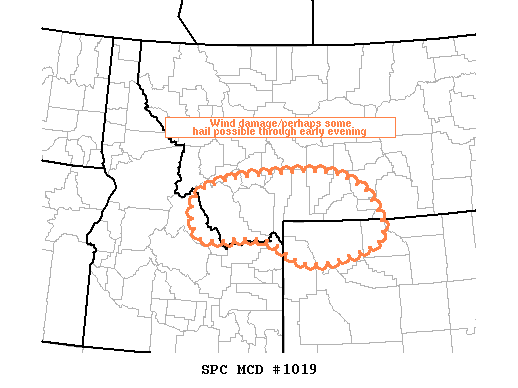 Mesoscale Discussion 1019