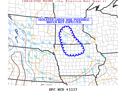 Mesoscale Discussion 1117