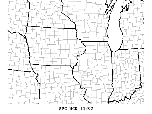 Mesoscale Discussion 1202