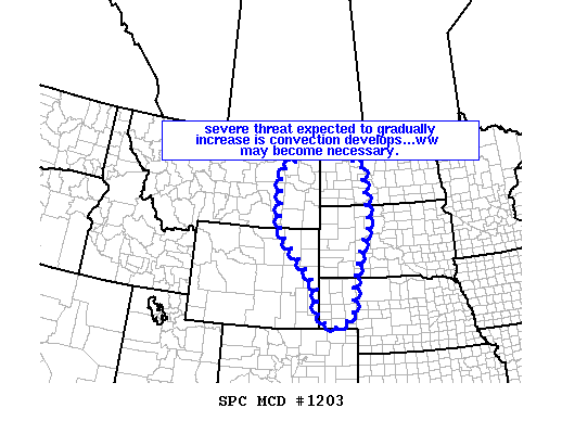 Mesoscale Discussion 1203