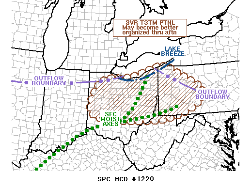 Mesoscale Discussion 1220