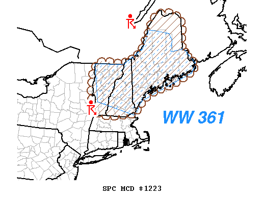 Mesoscale Discussion 1223