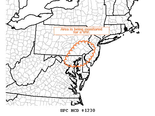 Mesoscale Discussion 1230