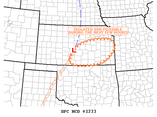 Mesoscale Discussion 1233