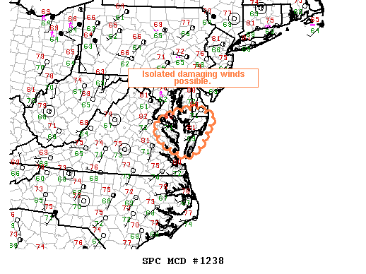 Mesoscale Discussion 1238