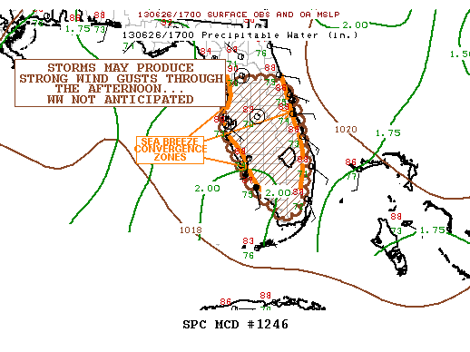 Mesoscale Discussion 1246