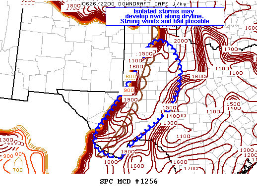 Mesoscale Discussion 1256