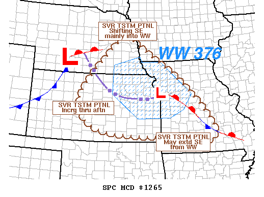 Mesoscale Discussion 1265