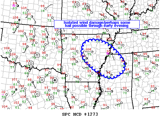 Mesoscale Discussion 1273