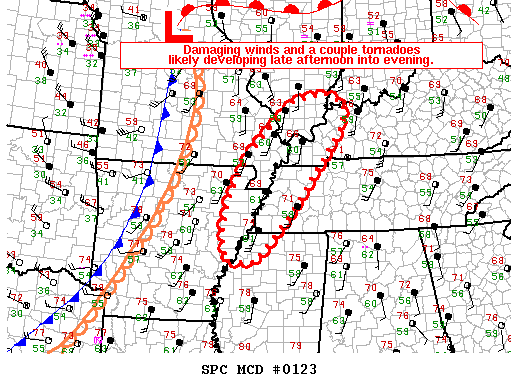 Mesoscale Discussion 123
