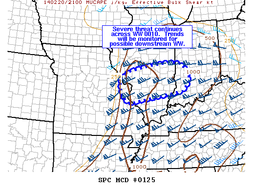Mesoscale Discussion 125