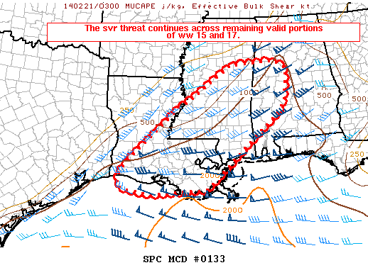 Mesoscale Discussion 133