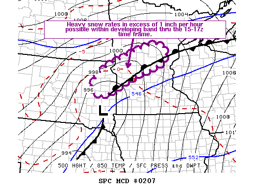 Mesoscale Discussion 207