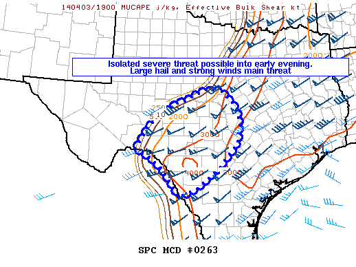 Mesoscale Discussion 263
