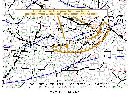 Mesoscale Discussion 267