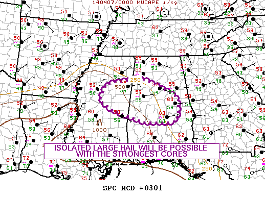 Mesoscale Discussion 301
