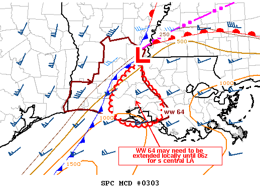 Mesoscale Discussion 303