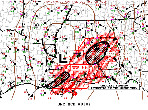 Mesoscale Discussion 307