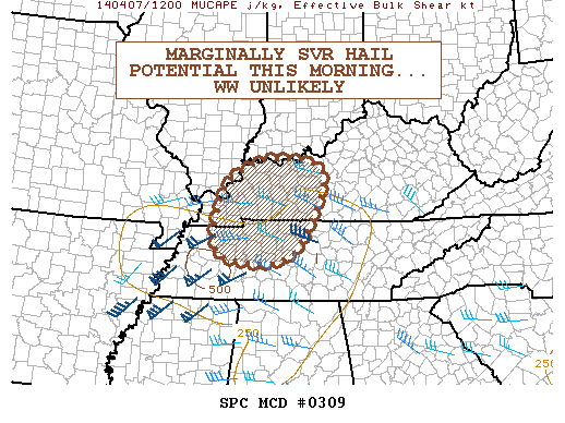Mesoscale Discussion 309