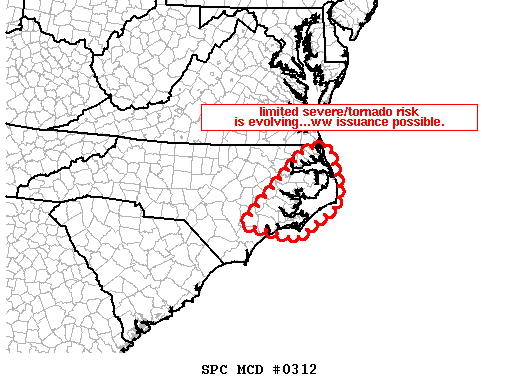 Mesoscale Discussion 312