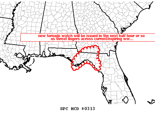 Mesoscale Discussion 313