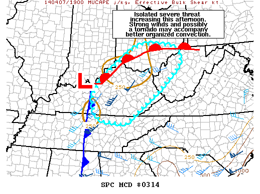 Mesoscale Discussion 314