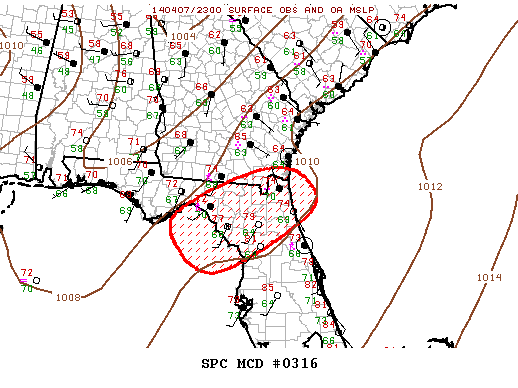 Mesoscale Discussion 316