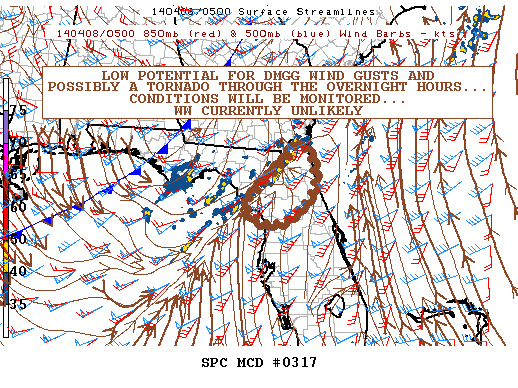 Mesoscale Discussion 317