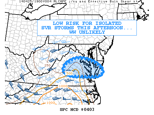 Mesoscale Discussion 403
