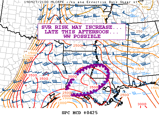 Mesoscale Discussion 425
