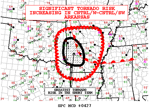 Mesoscale Discussion 427