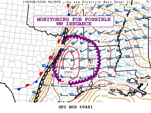 Mesoscale Discussion 441