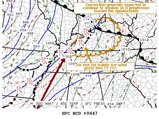 Mesoscale Discussion 447