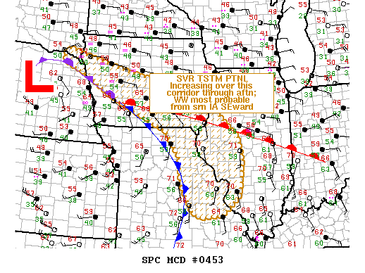Mesoscale Discussion 453