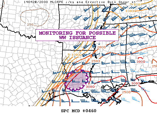 Mesoscale Discussion 460