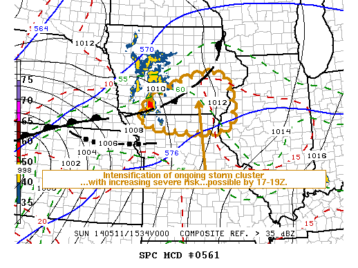 Mesoscale Discussion 561