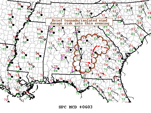Mesoscale Discussion 603