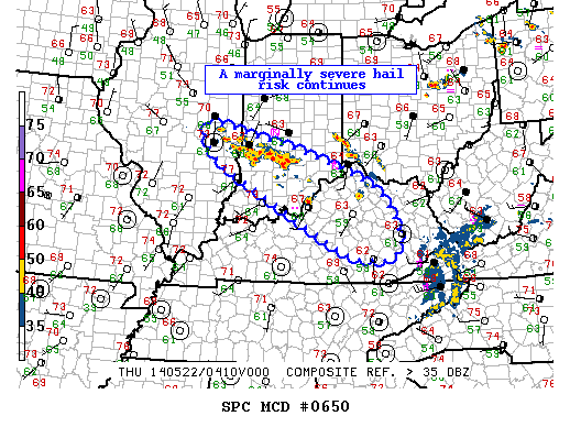 Mesoscale Discussion 650