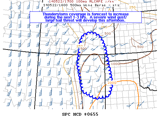 Mesoscale Discussion 655