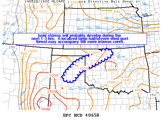 Mesoscale Discussion 658
