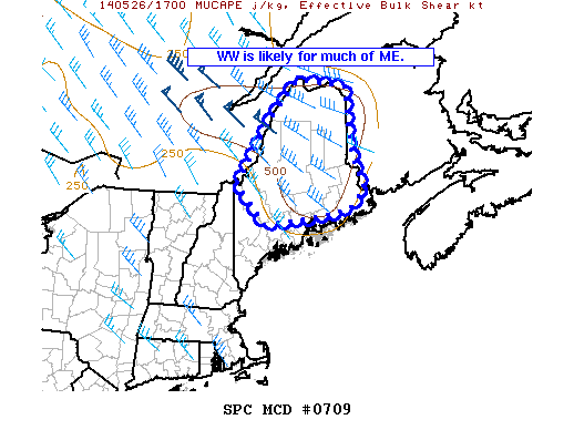 Mesoscale Discussion 709